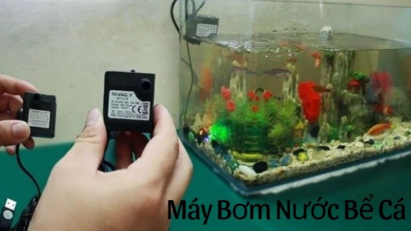 máy bơm nước bể cá