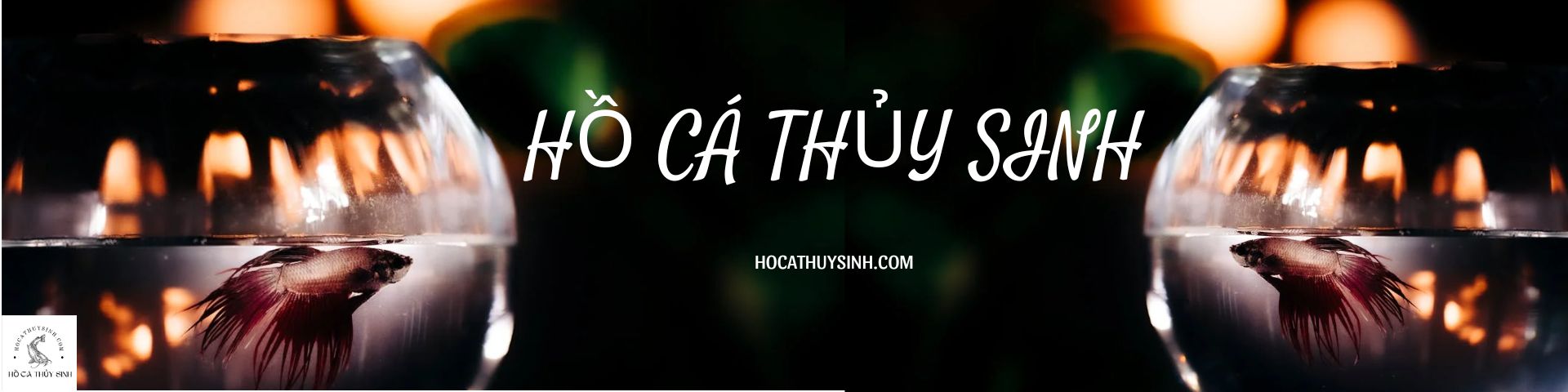 HOCATHUYSINH.COM