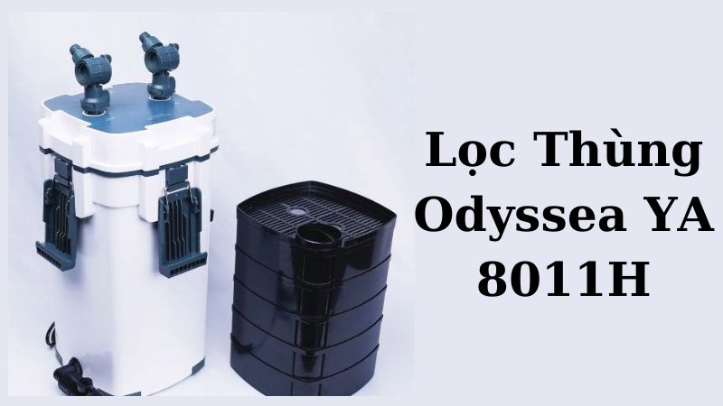 Lọc Thùng Odyssea YA 8011H: Giải Pháp Hoàn Hảo Cho Hồ Cá Cảnh